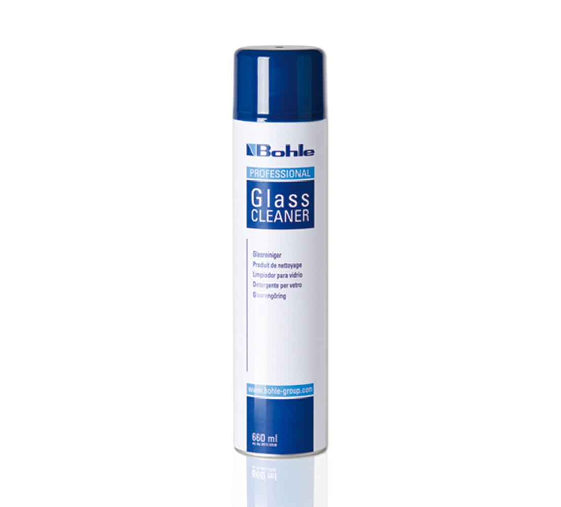 Nettoyant Pour Vitres Et Miroirs HG En Spray | Sèche Sans Traces, élimine Traces De Doigts Et Insectes | Pour Intérieur Et Extérieur